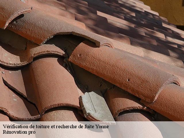 Vérification de toiture et recherche de fuite Yonne 