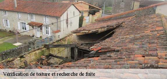 Vérification de toiture et recherche de fuite Yonne 