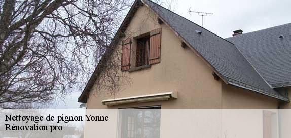 Nettoyage de pignon Yonne 