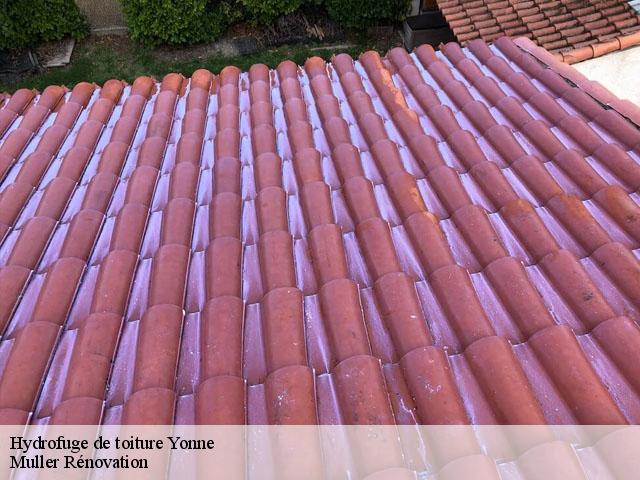 Hydrofuge de toiture Yonne 