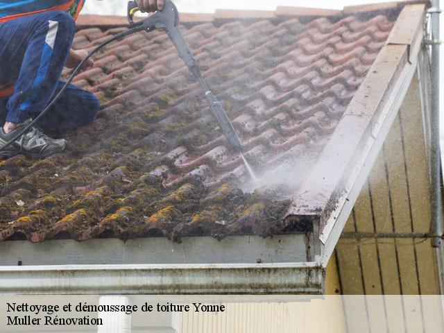 Nettoyage et démoussage de toiture Yonne 
