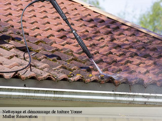 Nettoyage et démoussage de toiture Yonne 