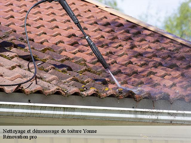 Nettoyage et démoussage de toiture Yonne 