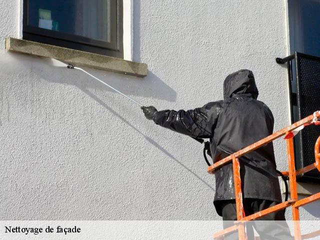 Nettoyage de façade Yonne 