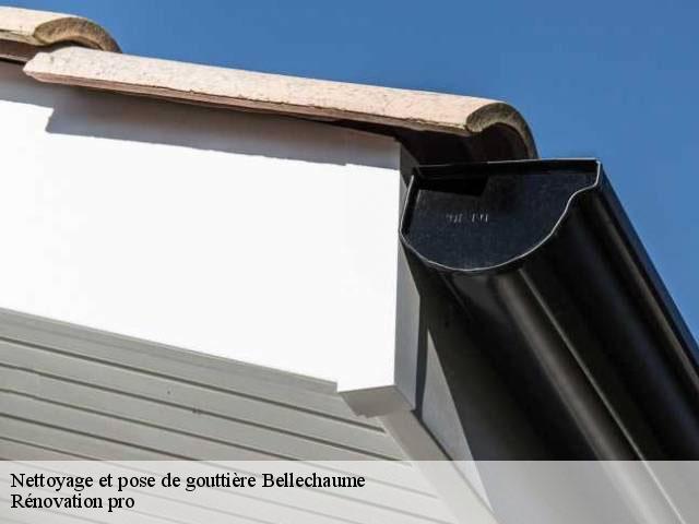 Nettoyage et pose de gouttière  89210