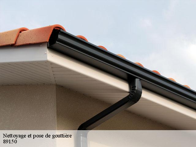 Nettoyage et pose de gouttière  89150