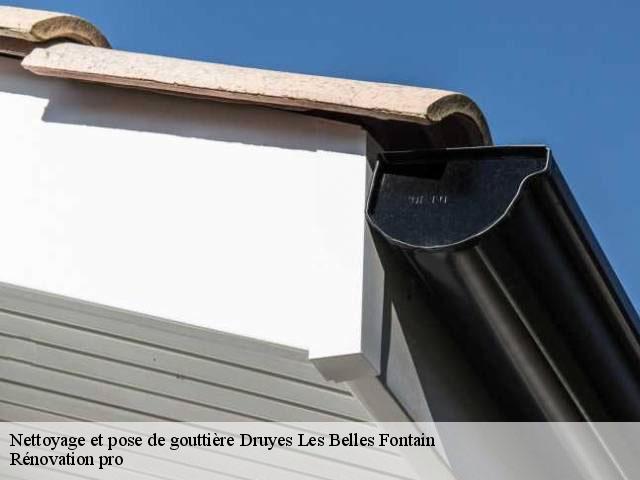 Nettoyage et pose de gouttière  89560