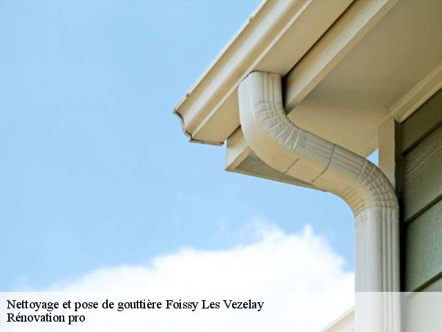 Nettoyage et pose de gouttière  89450