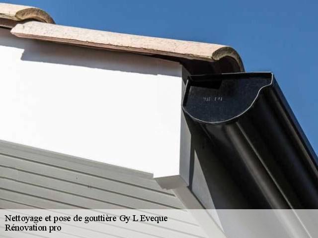 Nettoyage et pose de gouttière  89580