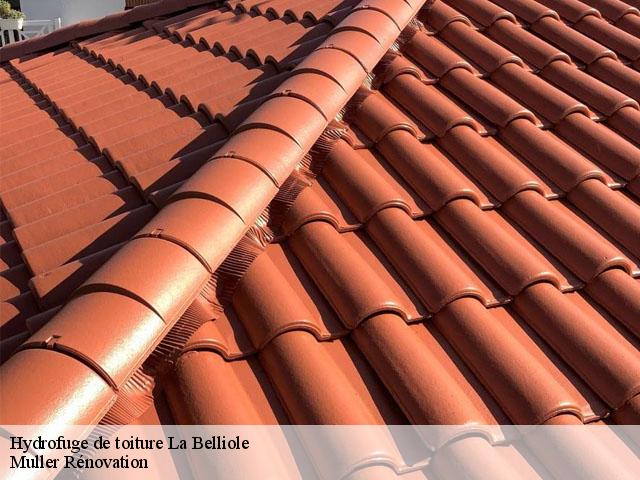 Hydrofuge de toiture  la-belliole-89150 Muller Rénovation 