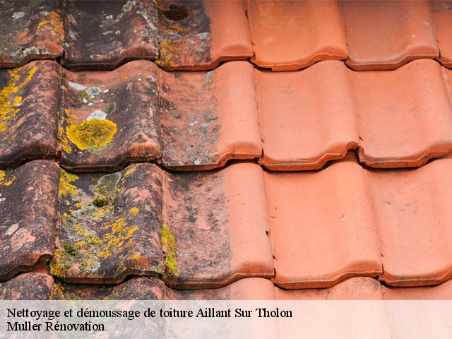 Nettoyage et démoussage de toiture  aillant-sur-tholon-89110 Muller Rénovation 