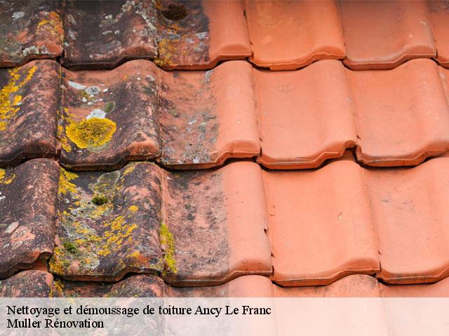 Nettoyage et démoussage de toiture  ancy-le-franc-89160 Muller Rénovation 