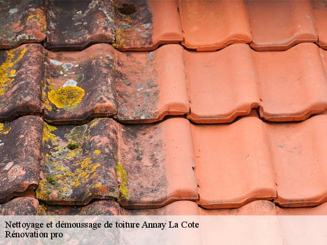 Nettoyage et démoussage de toiture  annay-la-cote-89200 Muller Rénovation 