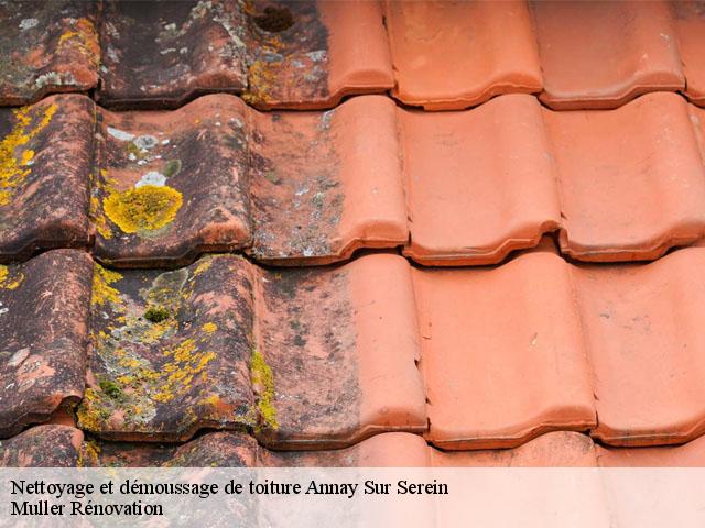 Nettoyage et démoussage de toiture  annay-sur-serein-89310 Muller Rénovation 