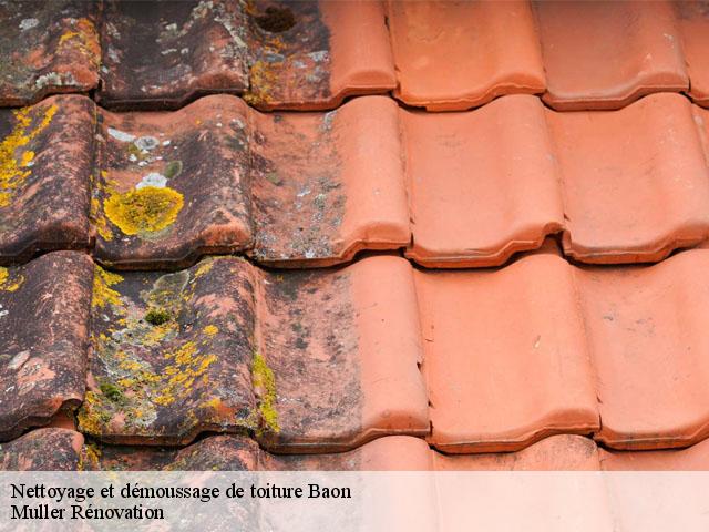 Nettoyage et démoussage de toiture  baon-89430 Muller Rénovation 