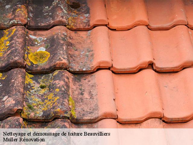 Nettoyage et démoussage de toiture  beauvilliers-89630 Muller Rénovation 