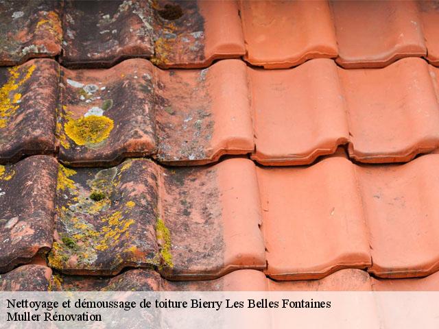 Nettoyage et démoussage de toiture  bierry-les-belles-fontaines-89420 Muller Rénovation 