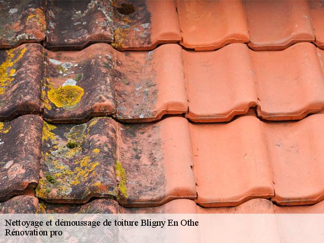 Nettoyage et démoussage de toiture  bligny-en-othe-89210 Muller Rénovation 