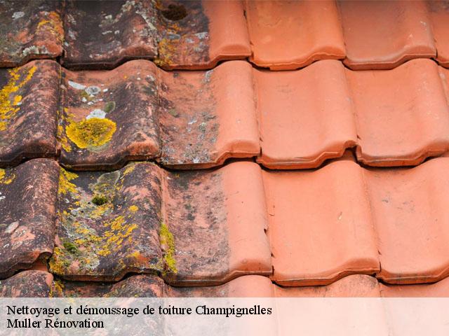 Nettoyage et démoussage de toiture  champignelles-89350 Muller Rénovation 