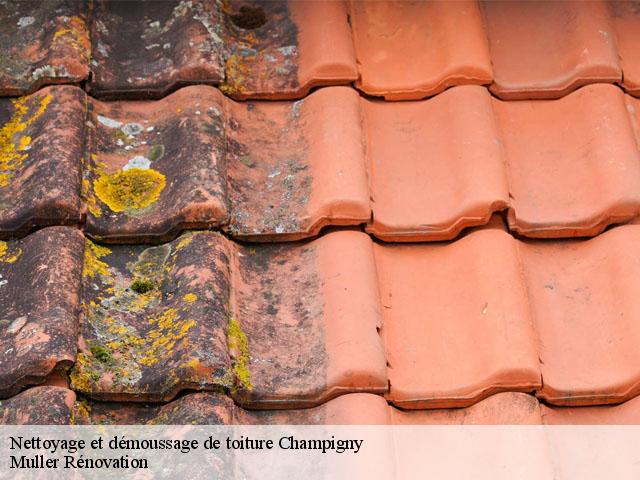 Nettoyage et démoussage de toiture  champigny-89370 Muller Rénovation 