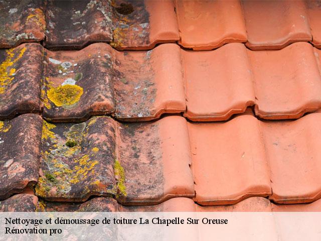 Nettoyage et démoussage de toiture  la-chapelle-sur-oreuse-89260 Muller Rénovation 