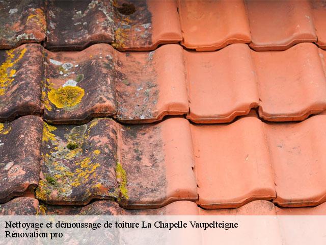 Nettoyage et démoussage de toiture  la-chapelle-vaupelteigne-89800 Muller Rénovation 