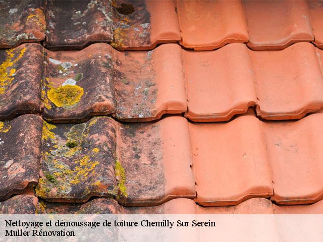 Nettoyage et démoussage de toiture  chemilly-sur-serein-89800 Muller Rénovation 
