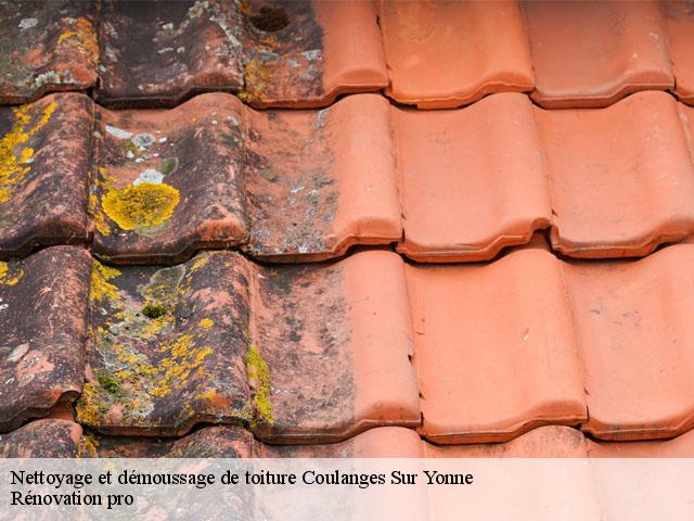 Nettoyage et démoussage de toiture  coulanges-sur-yonne-89480 Muller Rénovation 