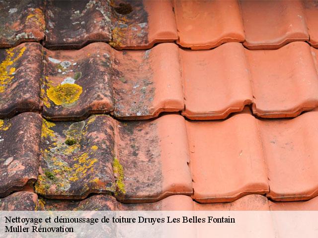 Nettoyage et démoussage de toiture  druyes-les-belles-fontain-89560 Muller Rénovation 
