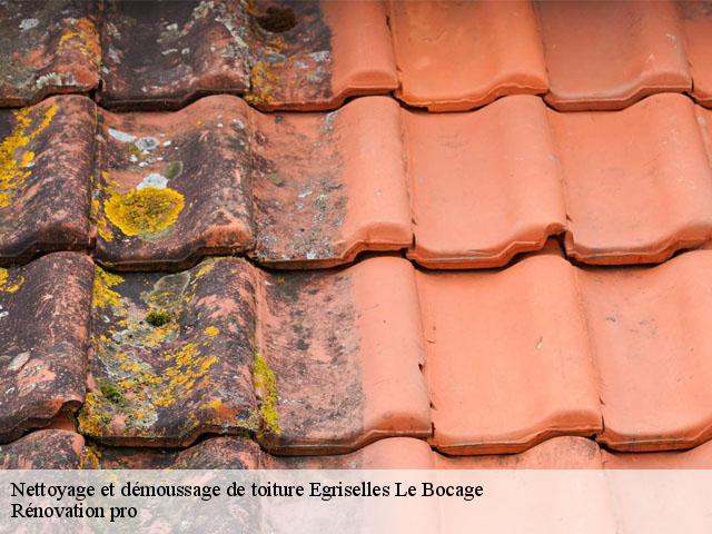 Nettoyage et démoussage de toiture  egriselles-le-bocage-89500 Muller Rénovation 