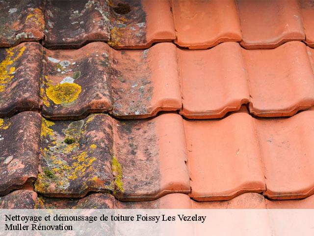 Nettoyage et démoussage de toiture  foissy-les-vezelay-89450 Muller Rénovation 