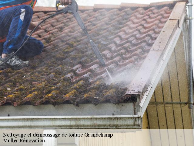 Nettoyage et démoussage de toiture  89350
