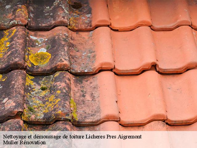 Nettoyage et démoussage de toiture  licheres-pres-aigremont-89800 Muller Rénovation 