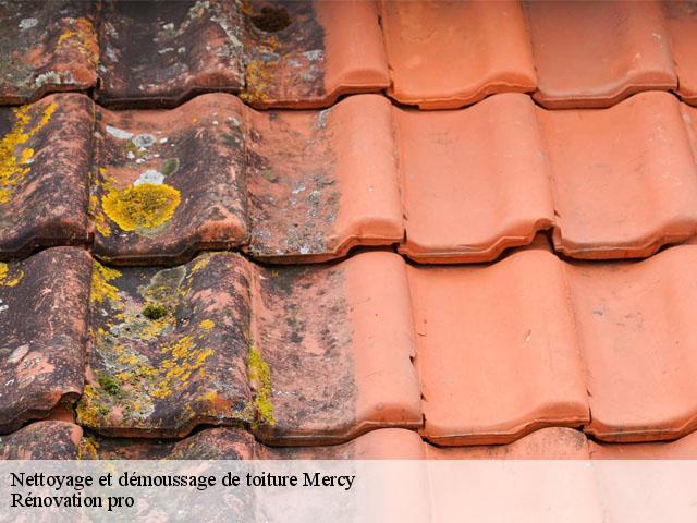 Nettoyage et démoussage de toiture  mercy-89210 Muller Rénovation 