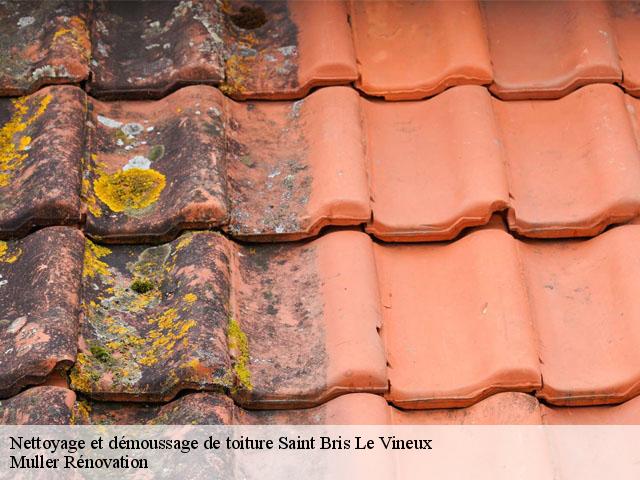Nettoyage et démoussage de toiture  saint-bris-le-vineux-89530 Muller Rénovation 