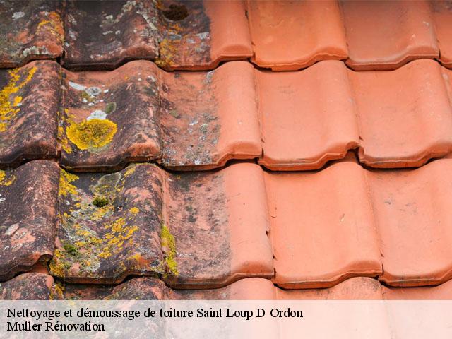 Nettoyage et démoussage de toiture  saint-loup-d-ordon-89330 Muller Rénovation 