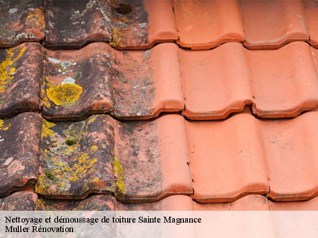 Nettoyage et démoussage de toiture  sainte-magnance-89420 Muller Rénovation 
