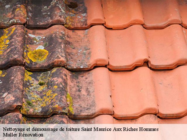 Nettoyage et démoussage de toiture  saint-maurice-aux-riches-hommes-89190 Muller Rénovation 