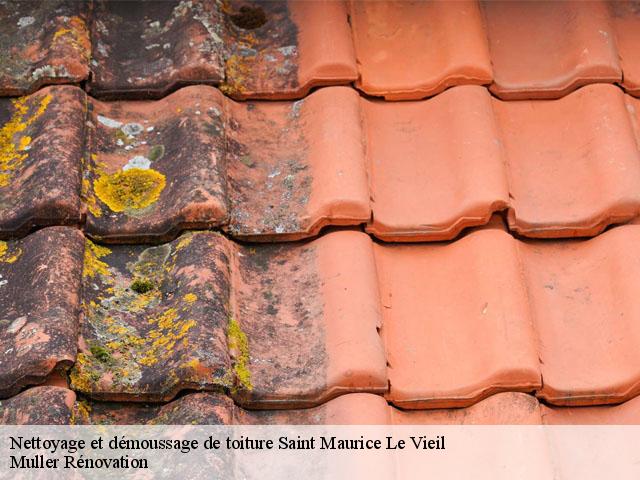 Nettoyage et démoussage de toiture  saint-maurice-le-vieil-89110 Muller Rénovation 