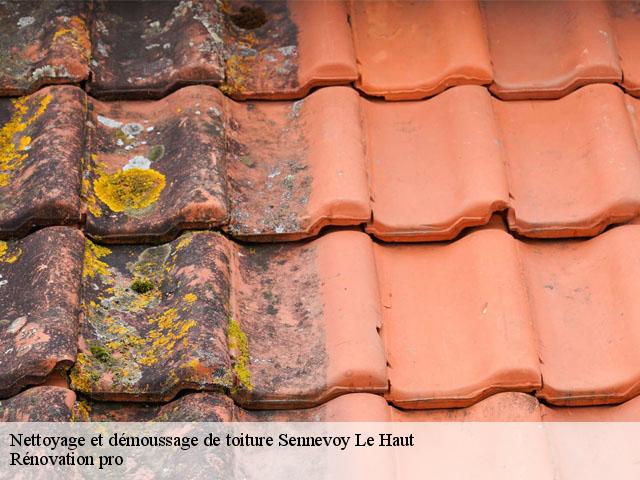 Nettoyage et démoussage de toiture  sennevoy-le-haut-89160 Muller Rénovation 