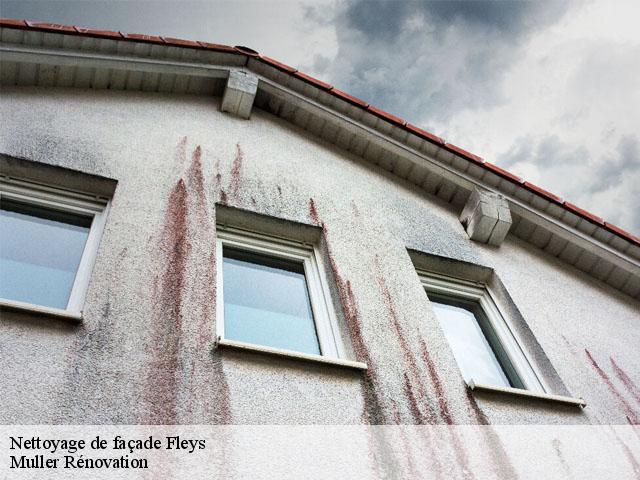 Nettoyage de façade  fleys-89800 Muller Rénovation 