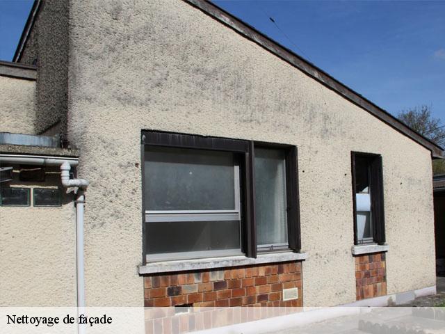Nettoyage de façade 89460