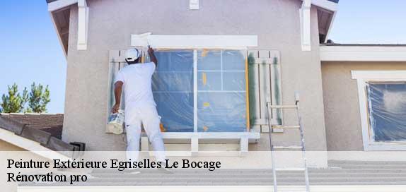 Peinture Extérieure  89500