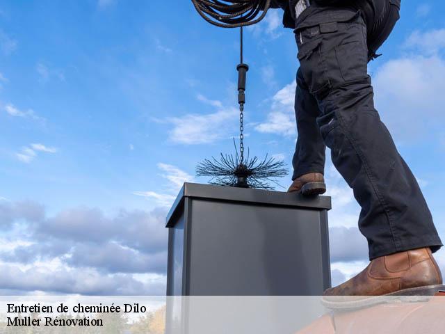 Entretien de cheminée  dilo-89320 Muller Rénovation 