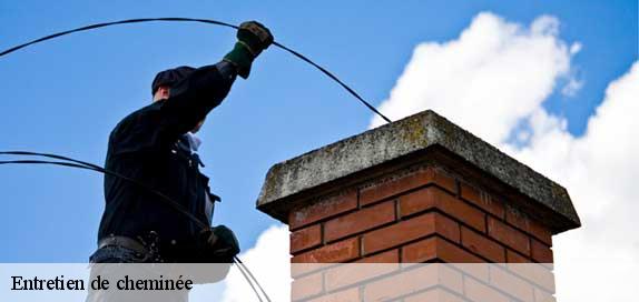 Entretien de cheminée 89600