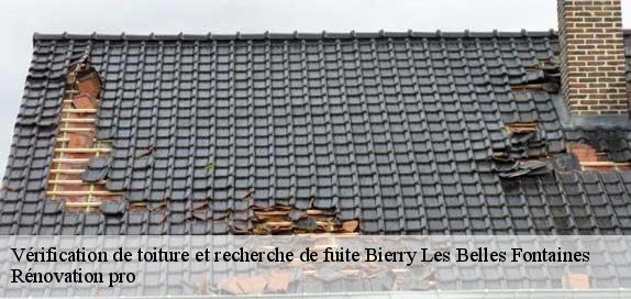 Vérification de toiture et recherche de fuite  89420