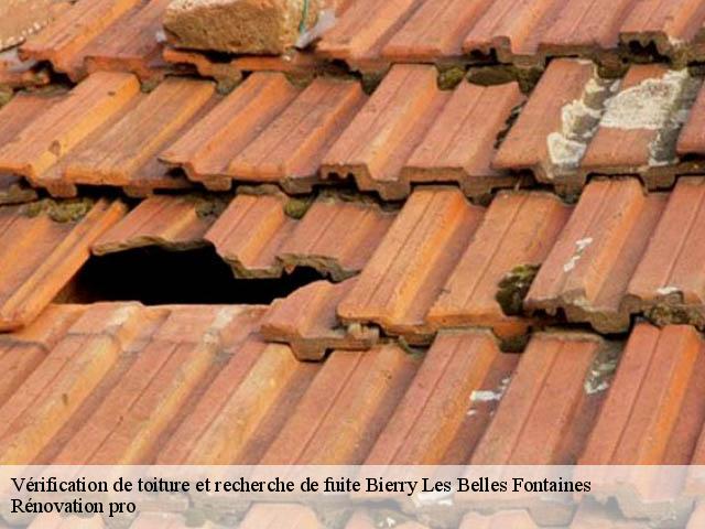 Vérification de toiture et recherche de fuite  bierry-les-belles-fontaines-89420 Rénovation pro 