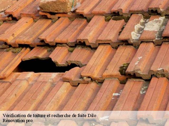 Vérification de toiture et recherche de fuite  dilo-89320 Rénovation pro 