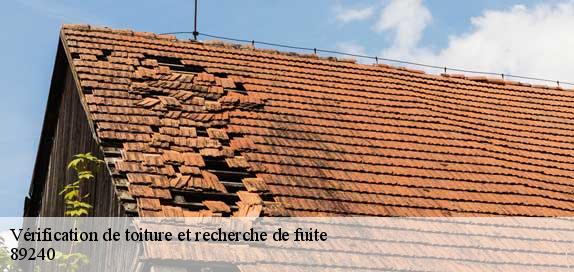 Vérification de toiture et recherche de fuite  89240