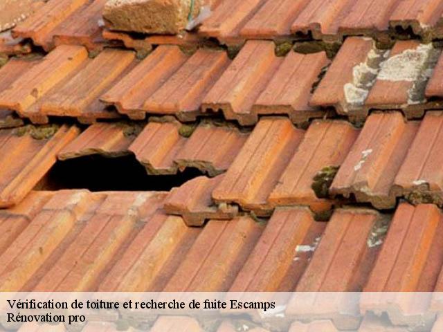 Vérification de toiture et recherche de fuite  escamps-89240 Rénovation pro 